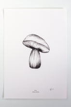 Load image into Gallery viewer, Cep Mushroom
