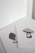 Load image into Gallery viewer, Morel Mushroom
