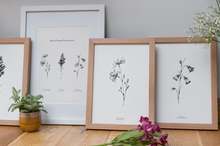 Load image into Gallery viewer, British Wildflowers - Summer Trio
