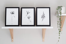 Load image into Gallery viewer, Botanicals - French Lavender
