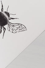 Load image into Gallery viewer, Insects - Bumblebee
