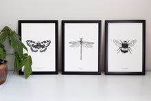 Load image into Gallery viewer, Insects - Butterfly
