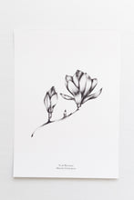 Load image into Gallery viewer, Botanicals - Magnolia
