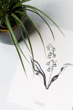 Load image into Gallery viewer, Botanicals - Lily of the Valley
