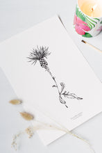 Load image into Gallery viewer, British Wildflowers - Lesser Knapweed
