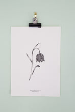 Load image into Gallery viewer, British Wildflowers - Snake&#39;s Head Fritillary

