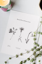 Load image into Gallery viewer, British Wildflowers - Winter Trio
