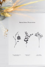 Load image into Gallery viewer, British Wildflowers - Spring Trio
